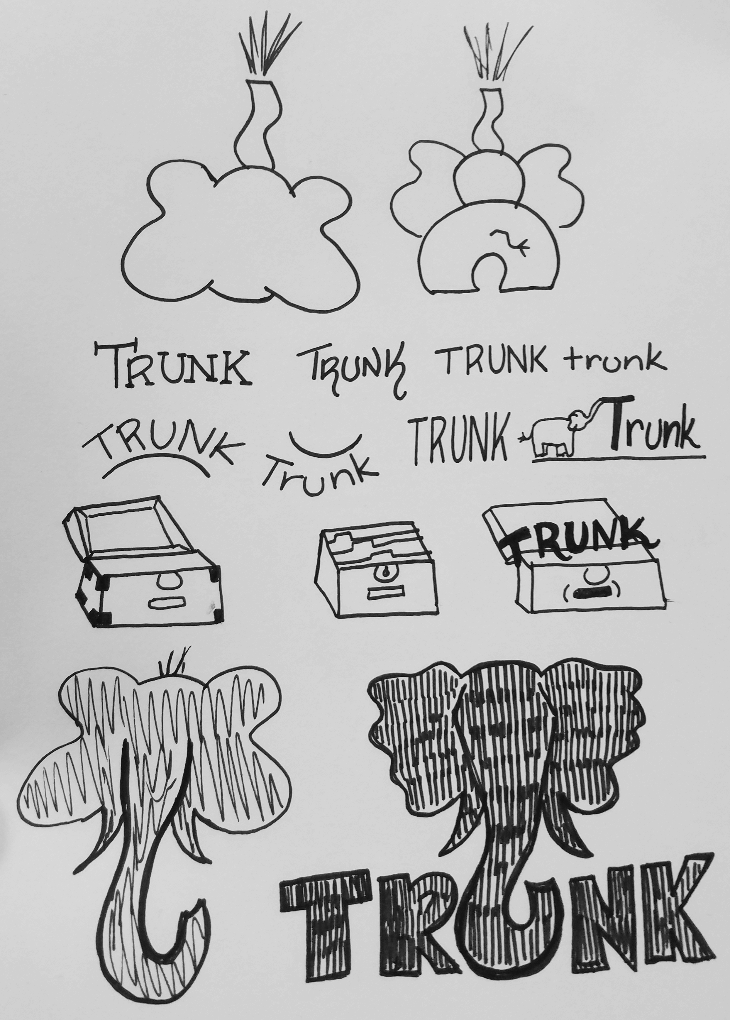 original trunk sketches